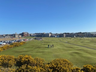 The Old Course at St Andrews with the town behind, gorse in bloom — from Miles's trip